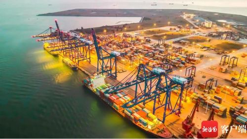 新海南財經觀察丨戰略風口疊加政策紅利 中國500強民企爭相布局儋州洋浦碼頭